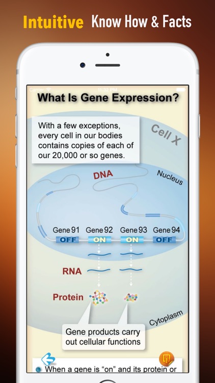 Genes 101:Theory and Biological Basic