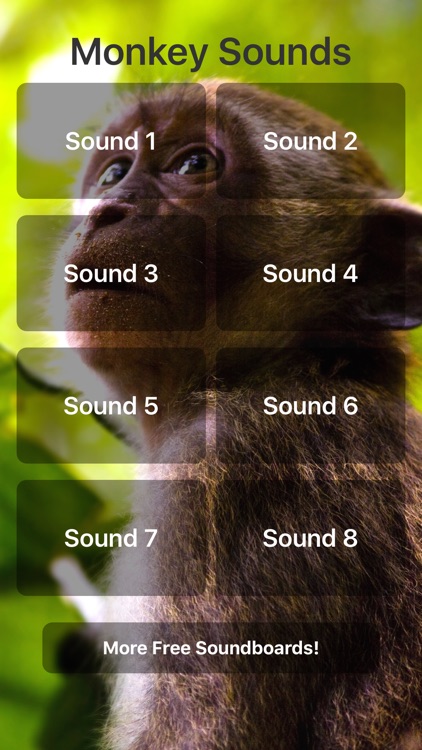 Monkey Sounds!
