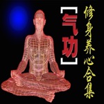養生 氣功 大全4本簡繁