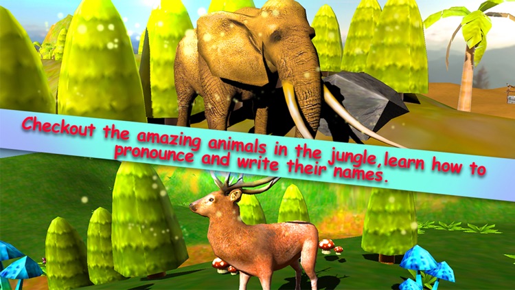 Jungle Animals in the Zoo : Let Your kid learn about Zebra, Lion, Dog, Cats & other Wild Animals