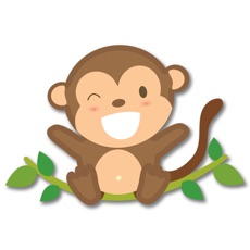 Activities of MatchMonkey