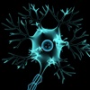 VR Structure of Neuron