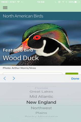 Bird Identification by Color - Ornithology Guide for Northeastern U.S. Bird Watching + Bird Sounds/Songs screenshot 2