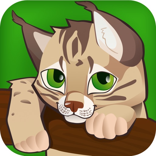 Zoo Care 3D icon