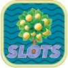 Money Tree Quick Lucky Machine – Las Vegas Free Slot Machine Games – bet, spin & Win big