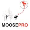 Moose Hunting Strategy - Moose Hunter Plan