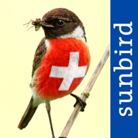 Alle Vögel Schweiz - Fotoguide  PC 용