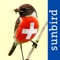 ***Do you want to go bird watching in Switzerland