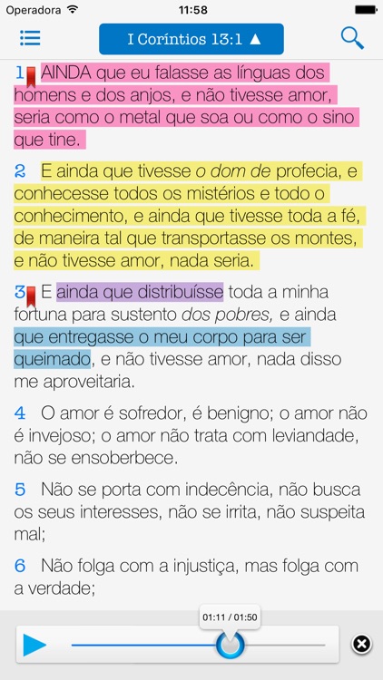 ACF - Bíblia de Estudo Fiel screenshot-3