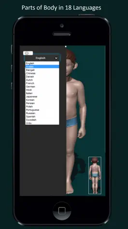 Game screenshot Parts of Body in 18 Languages mod apk