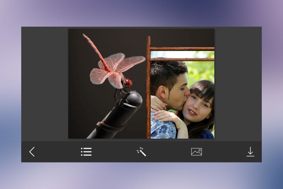 Dragonfly Photo Frame - Picture Frames + Photo Effects screenshot 2