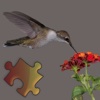 Hummingbirds Puzzles
