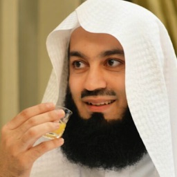 Mufti Ismail Menk Lectures