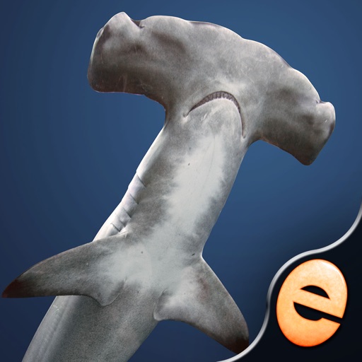 Shark Puzzles for Kids Jigsaw Wonder Collection iOS App