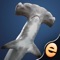 Put together spectacular nature puzzles in Shark Puzzles