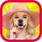 Animal Face Photo Sticker Booth helps you quickly editing your photos with multi animals faces as stickers