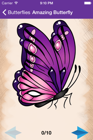Artist Violet - How to draw Butterflies screenshot 3