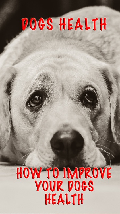 Dog's Health Problems - How To Improve Your Dog's Health+