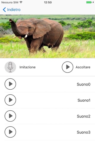 AnimalSounds-See Image and Hear sounds screenshot 2