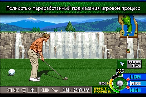 NEO TURF MASTERS screenshot 3