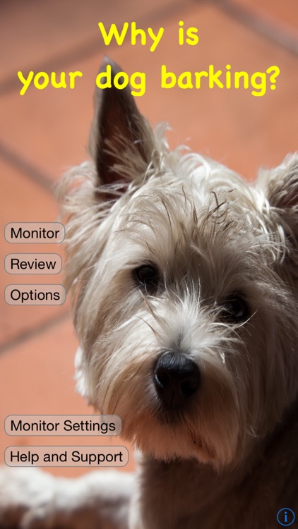 Dog Mood Monitor: Bark'n Mood