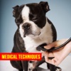 Pet First Aid - Responsibilities of a Pet Owner