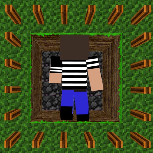 Bitcraft Icon