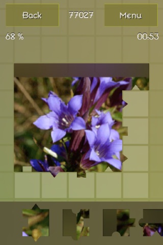Medicinal Plants Puzzles screenshot 2
