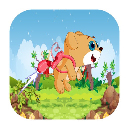 Jetback Bear iOS App