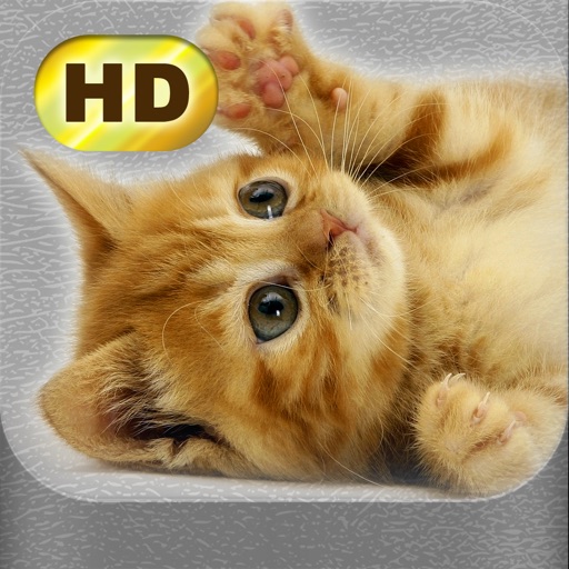 Cute Pics iOS App