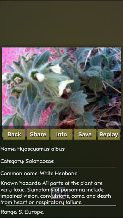 Medicinal Plants Puzzles screenshot-4