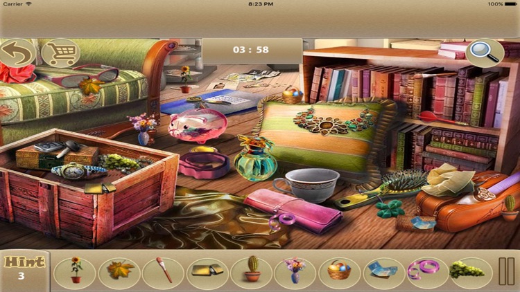 Cleaning House Hidden Object