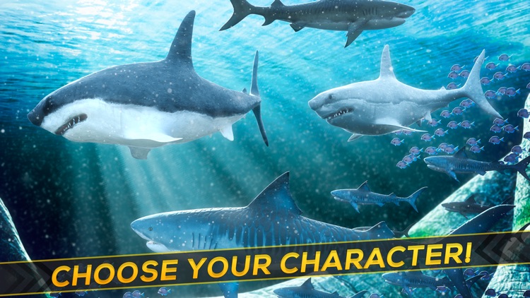 Sea Shark Adventure | Shark Swimming Game For Kids screenshot-3