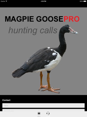 REAL Magpie Goose Calls - Hunting Calls for Magpie Geese -- (ad free) BLUETOOTH COMPATIBLE screenshot 4