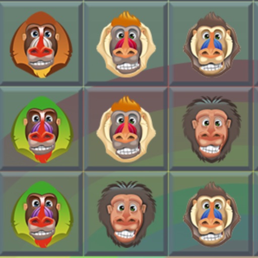 A Baboon Match Windy icon