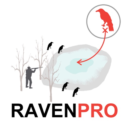 Raven Hunting Strategy Hunting Simulator for Bird Hunting