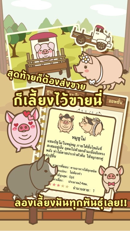 หรรษาฟาร์มหมู