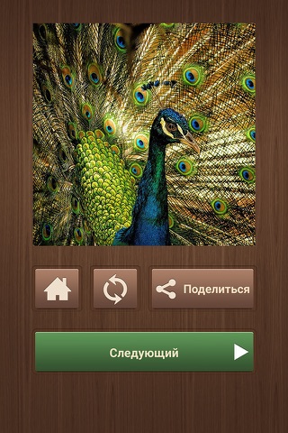 Animal Jigsaw Puzzles Game + screenshot 4