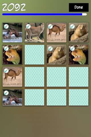 Match Animals - Find the Pair screenshot 4