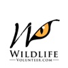Volunteer Wildlife App