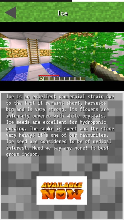 WEED MOD PIXEL ART FOR MINECRAFT PC : COMMANDS AND GUIDE screenshot-3