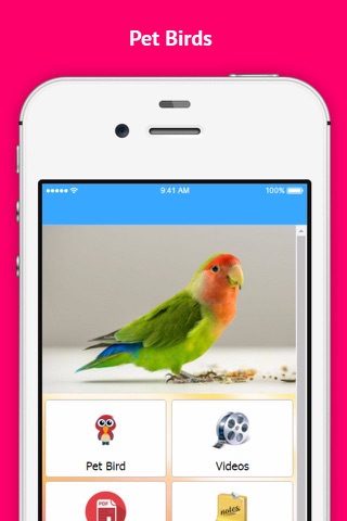 Pet Bird & Breeds - Foreign Birds screenshot 2