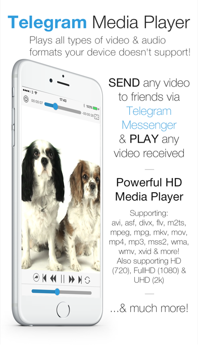 Telegram Player PRO - Media Player for Telegram Messenger Screenshot 1
