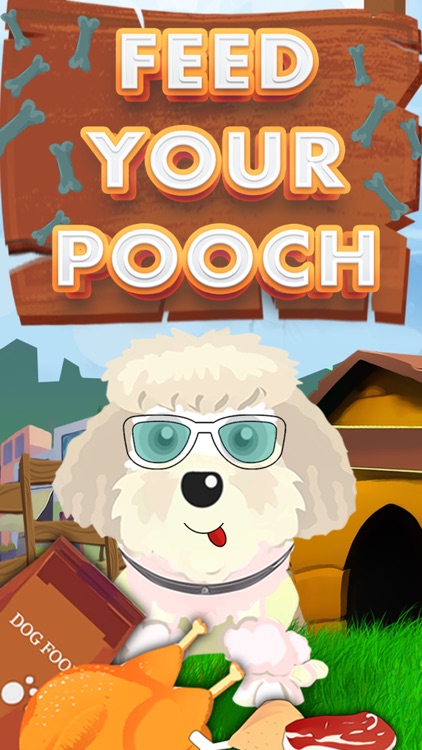 My Pet Poodle- Take care of your very first Pet Pooch!