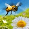 Honey Bee Attack Flying 3D Simulator Game- Fly to Kill Enemy Insects