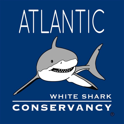 Sharktivity - Atlantic White Shark Sightings, Detections, Movements, & Research from the Atlantic White Shark Conservancy iOS App