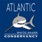 Sharktivity - Atlantic White Shark Sightings, Detections, Movements, & Research from the Atlantic White Shark Conservancy