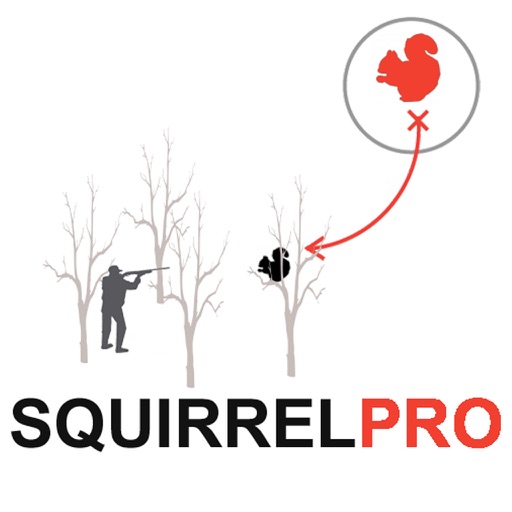 Squirrel Hunting Strategy Squirrel Hunter Plan