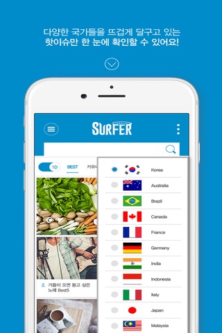 Social Surfer screenshot 3