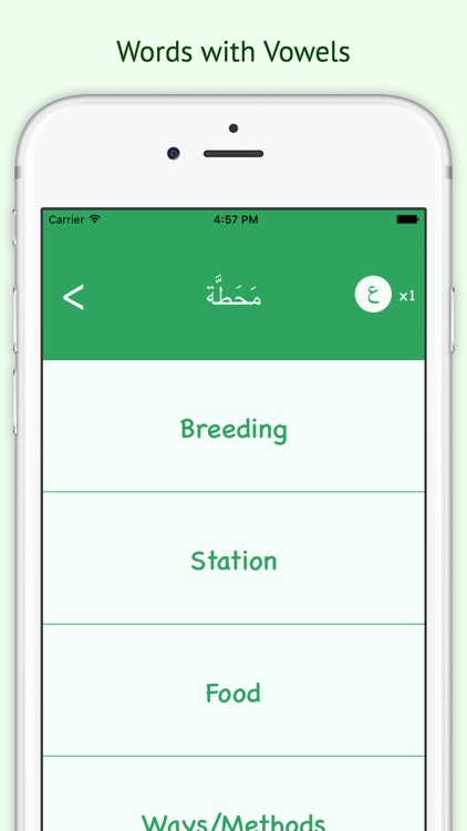 Arabic Vocabulary Game